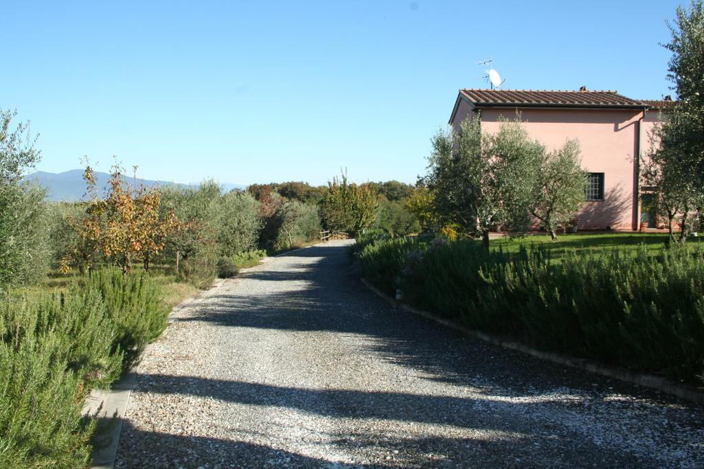 Agriturismo Gli Archi Villa Fauglia Esterno foto