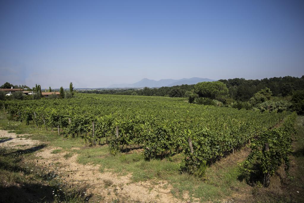 Agriturismo Gli Archi Villa Fauglia Esterno foto